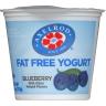 BLUEBERRY YOGURT
