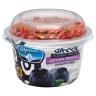 NONFAT BLUEBERRY YOGURT W BERRY GRAN